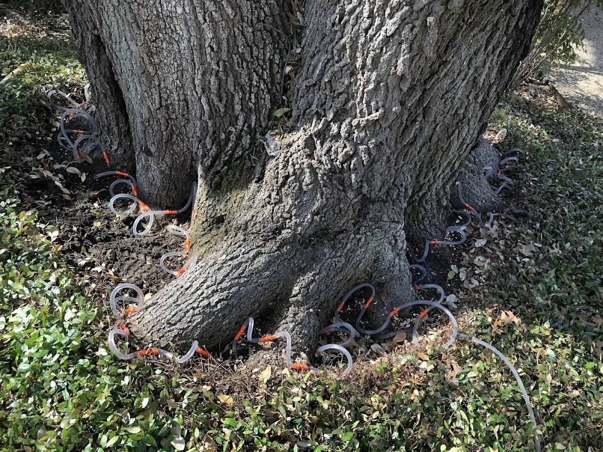 Detailed Shrub and Hedge Trimming job site in Waveland
